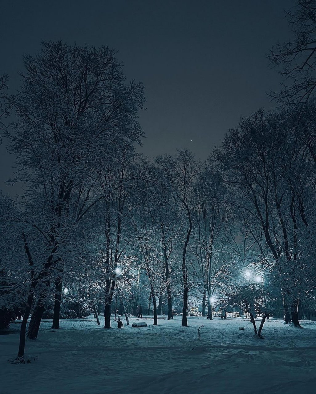 Гагаринский парк