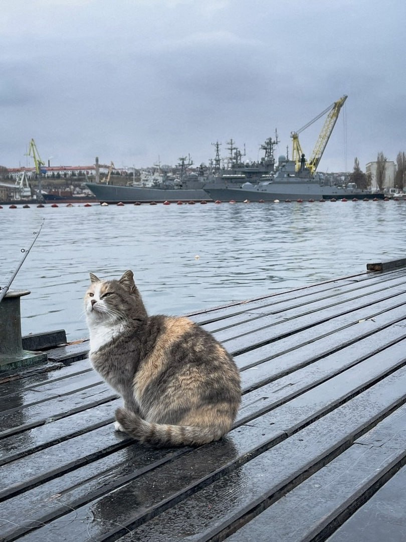 Графская пристань, Севастополь