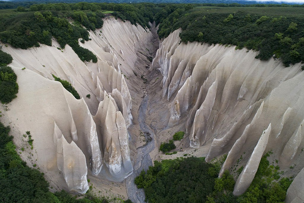 Южно-Камчатский заказник
