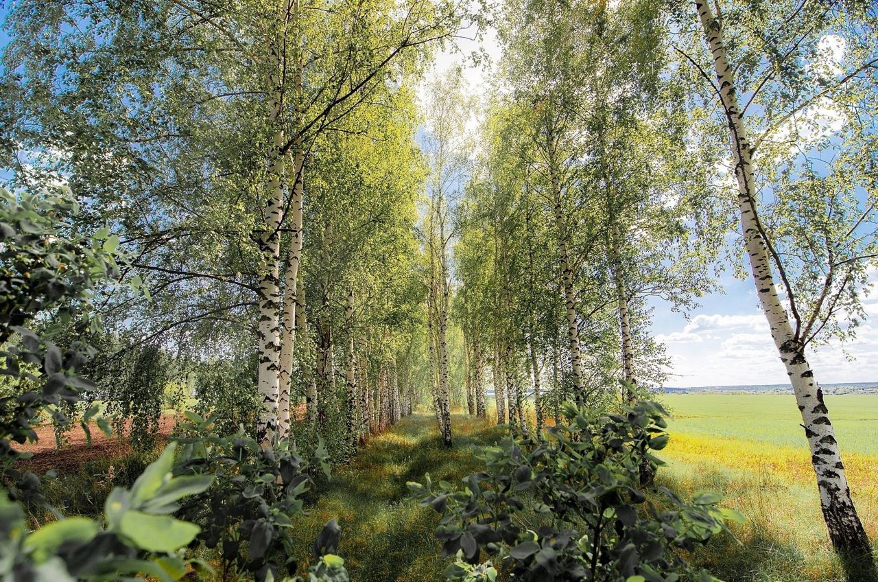 Липецкая область