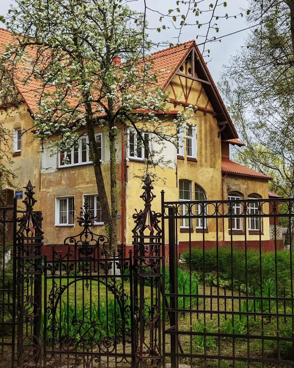 Район Амалиенау