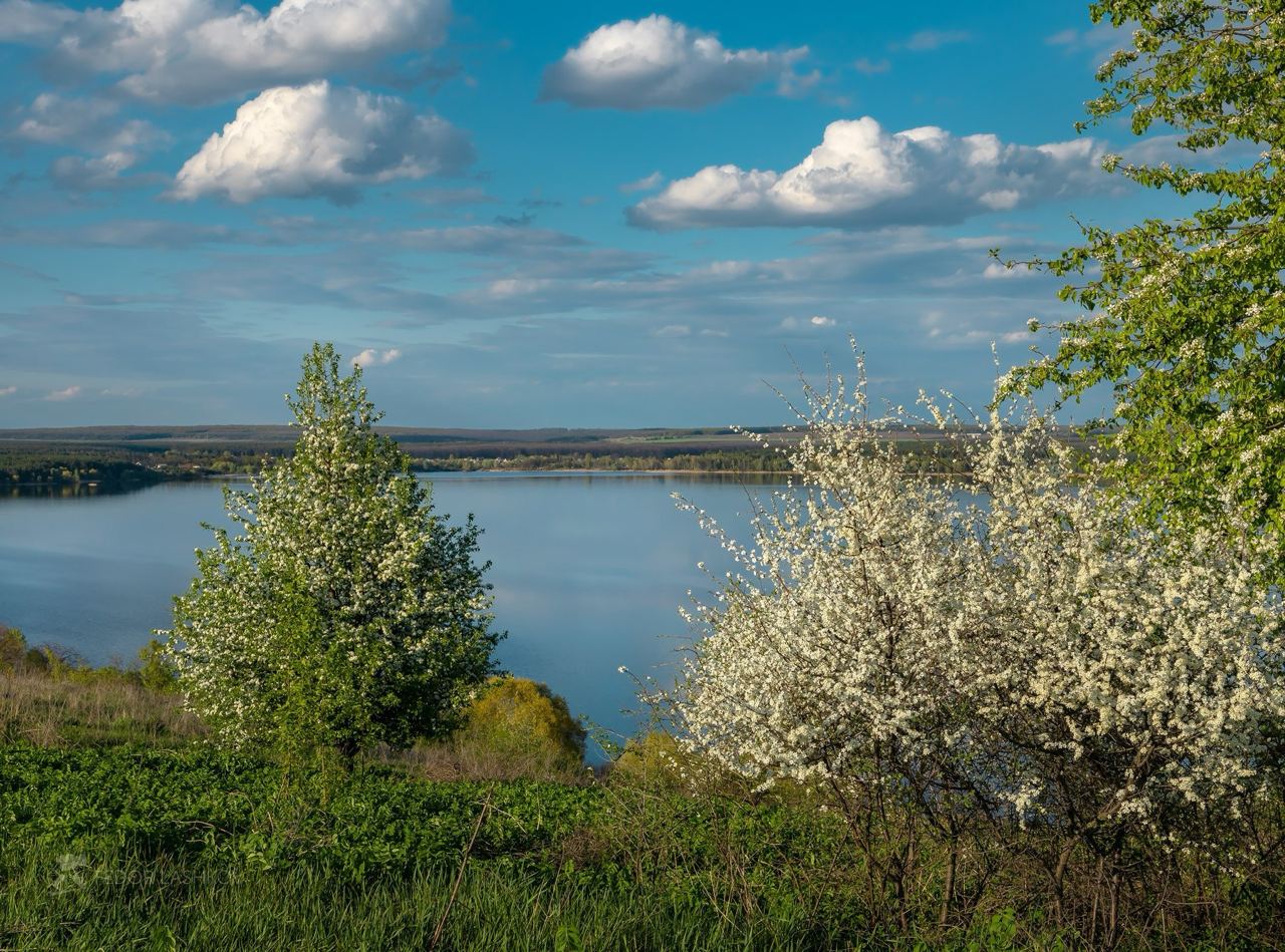 Белгородское водохранилище