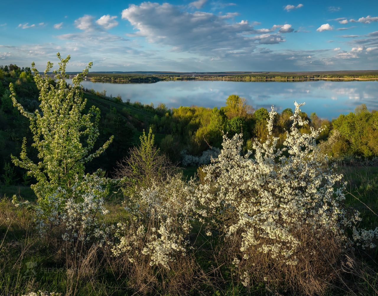 Белгородское водохранилище
