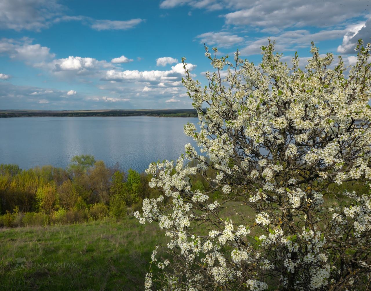 Белгородское водохранилище