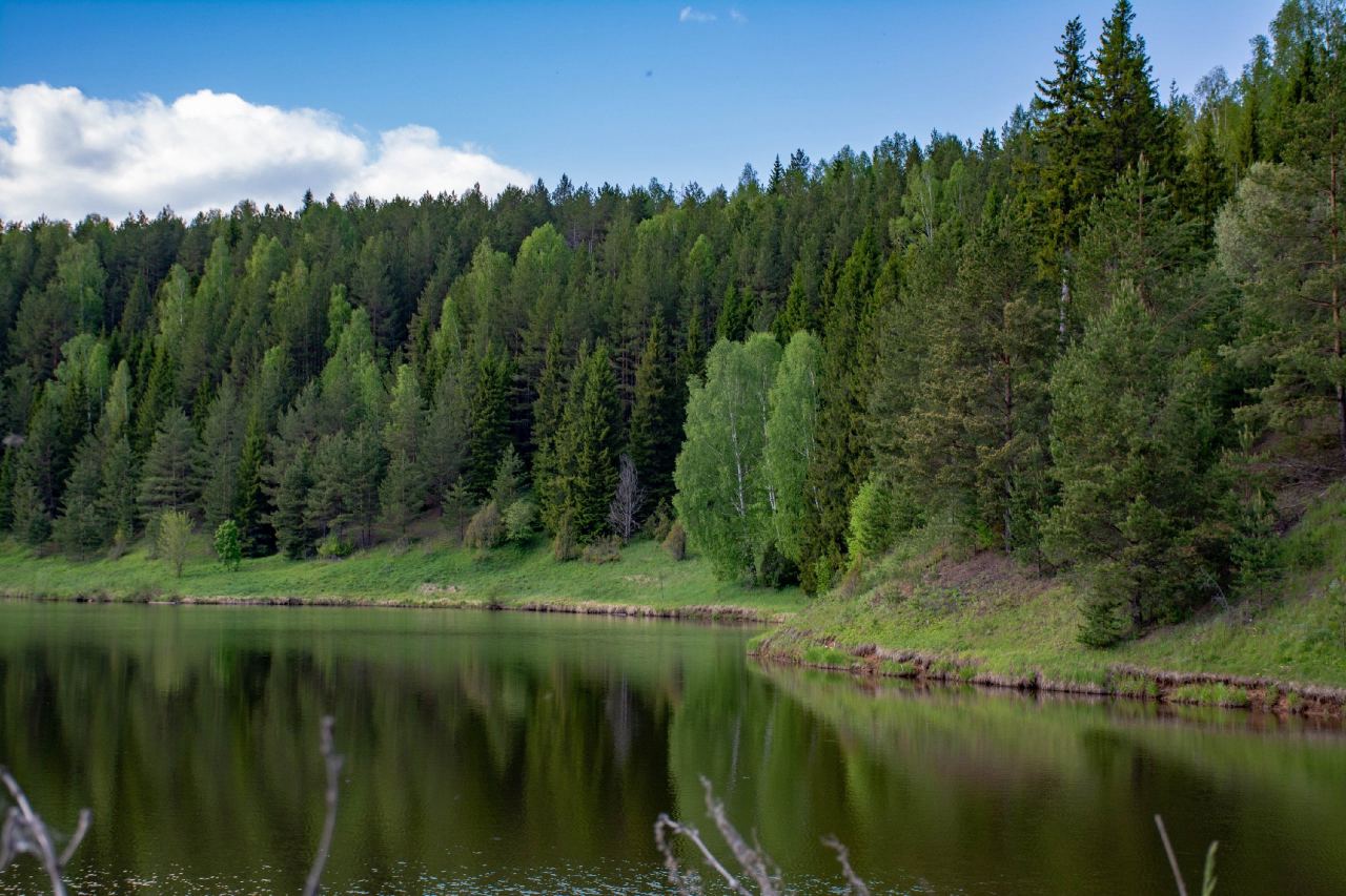Село Ведрец