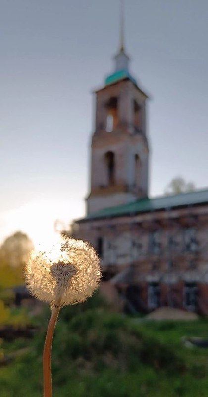 Церковь Троицы Живоначальной
