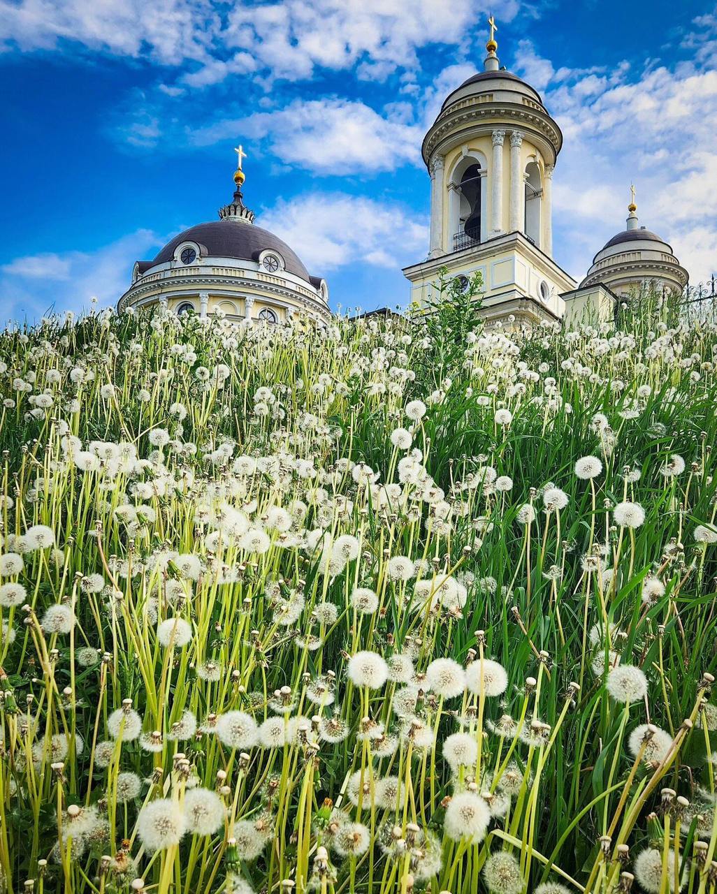 Село Шкинь