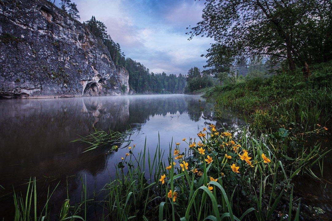 Природный парк Оленьи ручьи