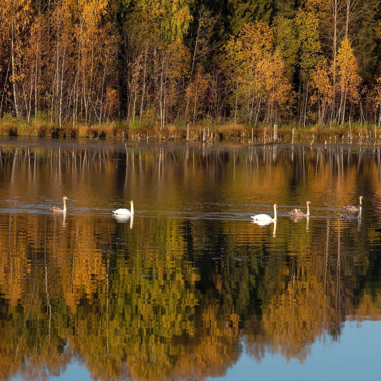 Село Верхосунье