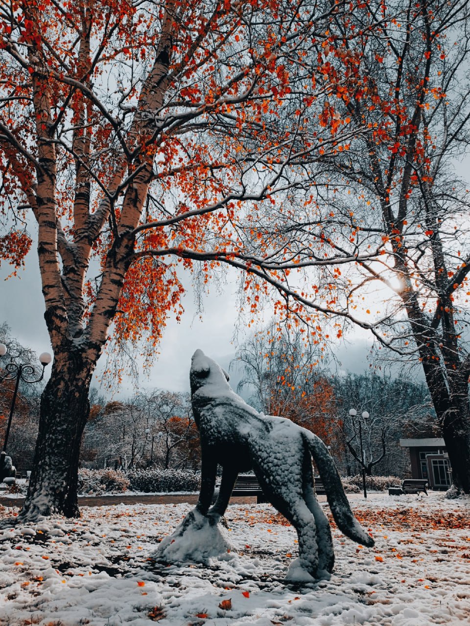 Бийск, первый снег