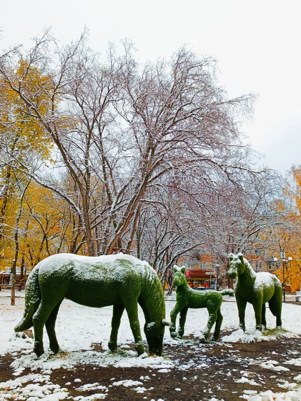Бийск, первый снег