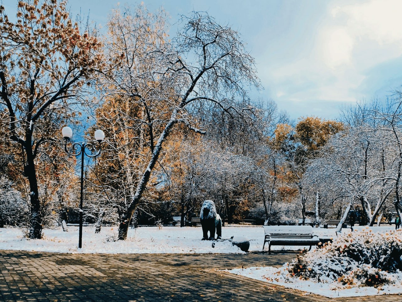Бийск, первый снег