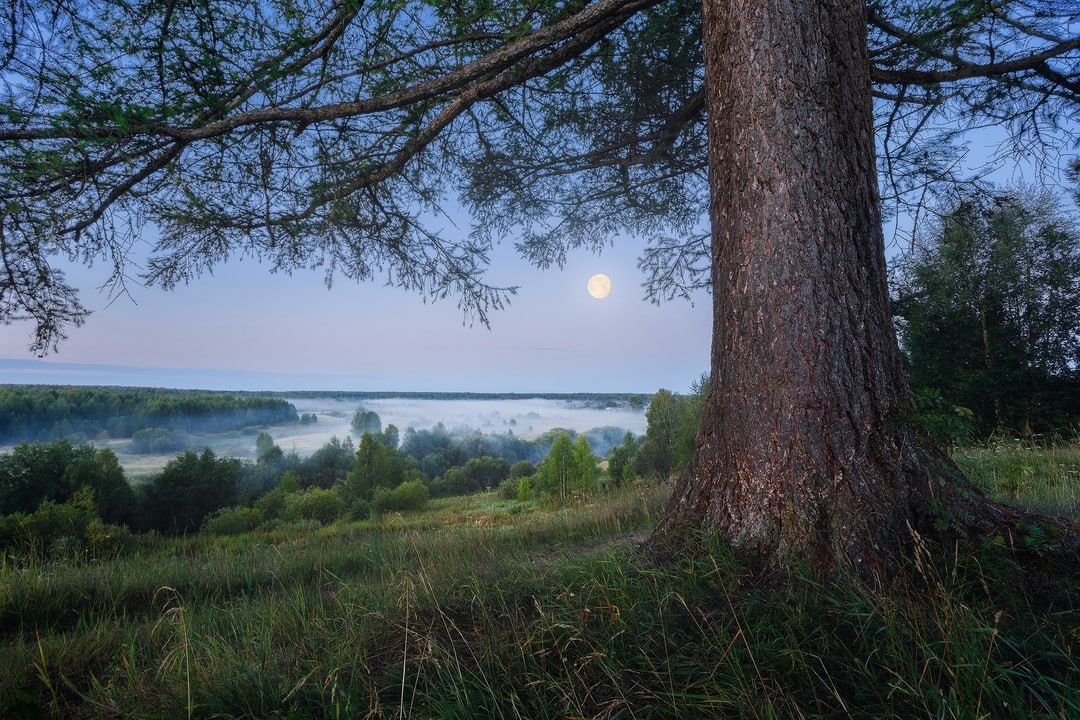 Река Воч, Республика Коми