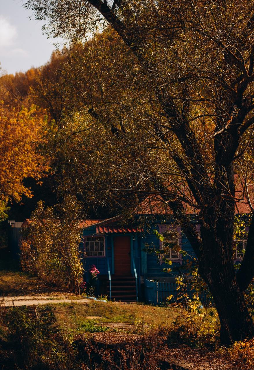 Город Сурск
