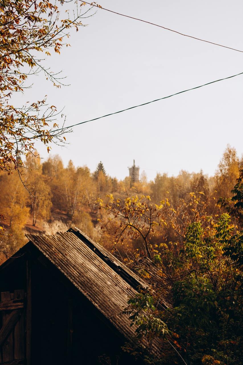 Город Сурск