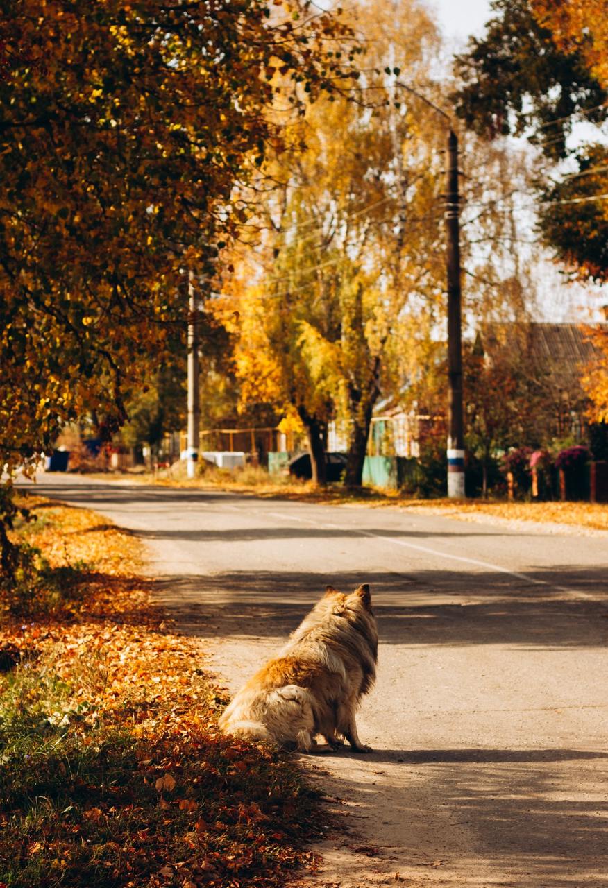 Город Сурск