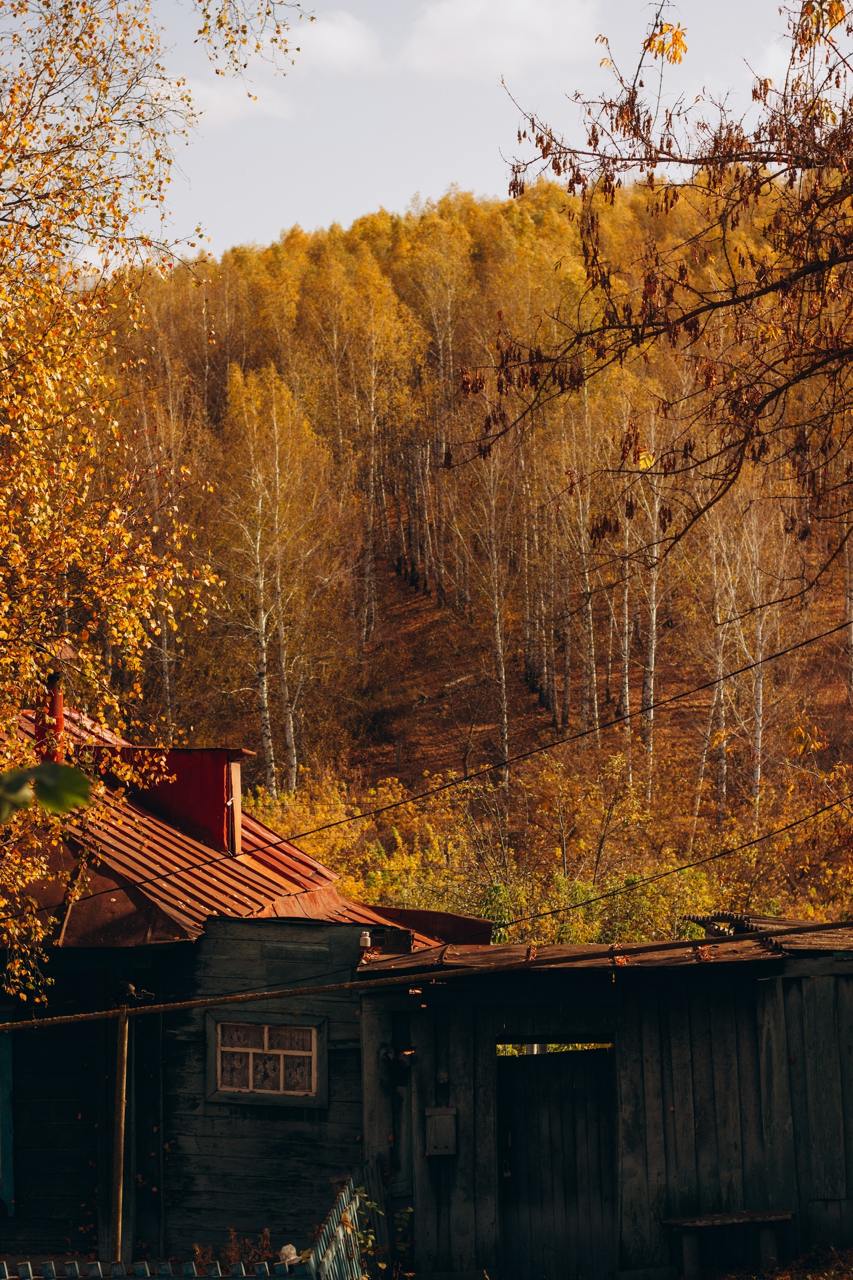Город Сурск