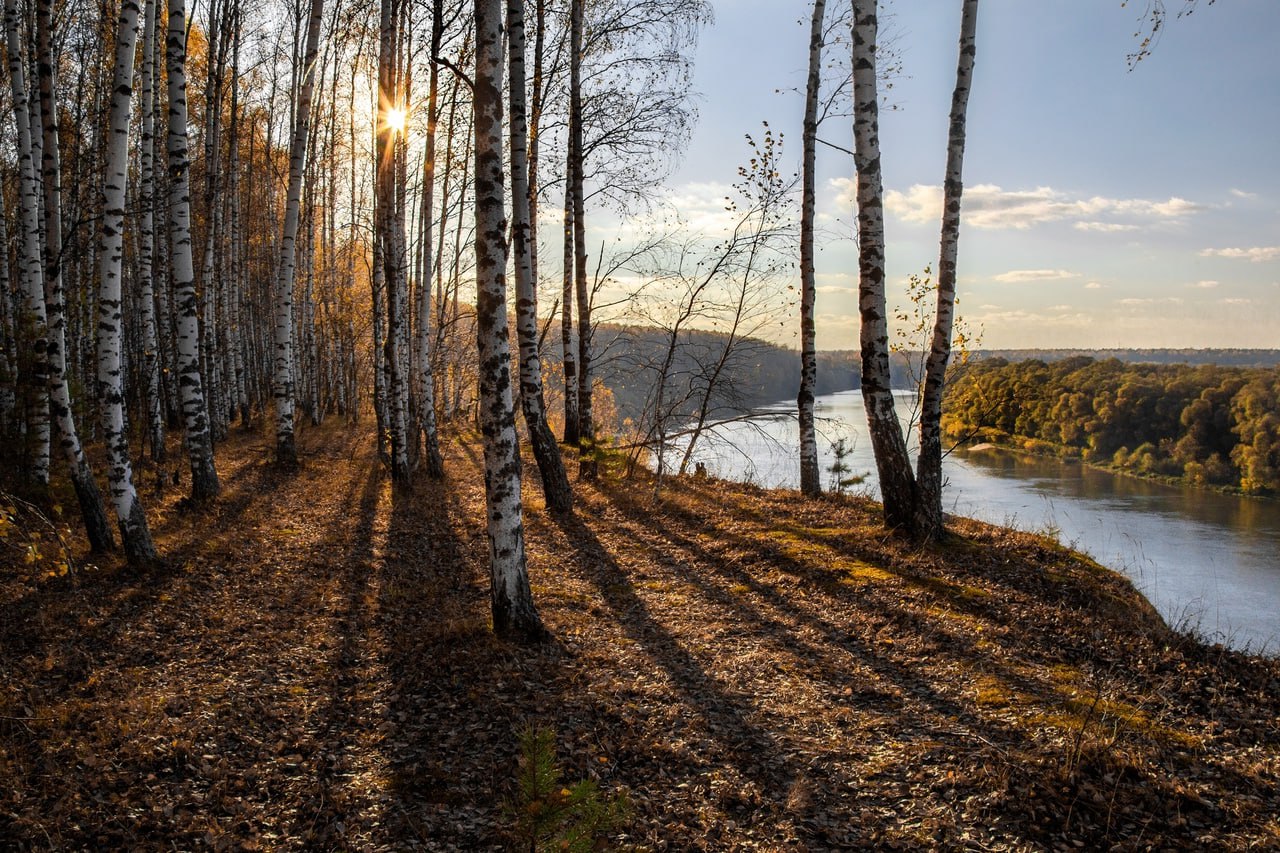 Берег реки Ока