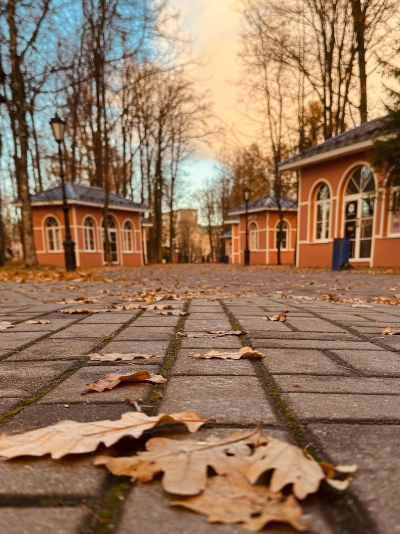 Соляной сад, Череповец