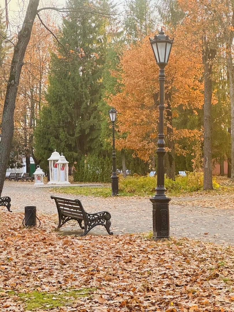 Соляной сад, Череповец