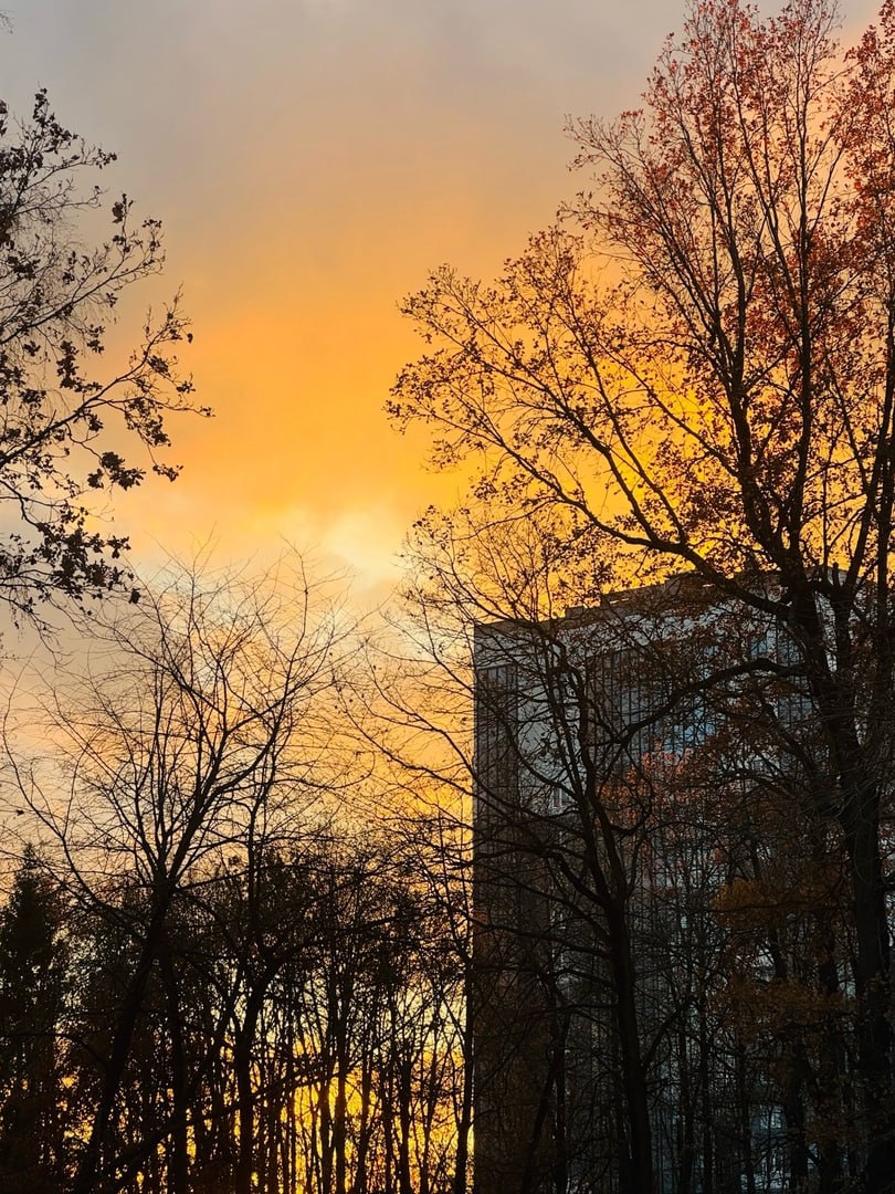 Соляной сад, Череповец