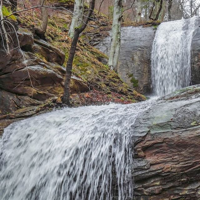 Село Хамышки