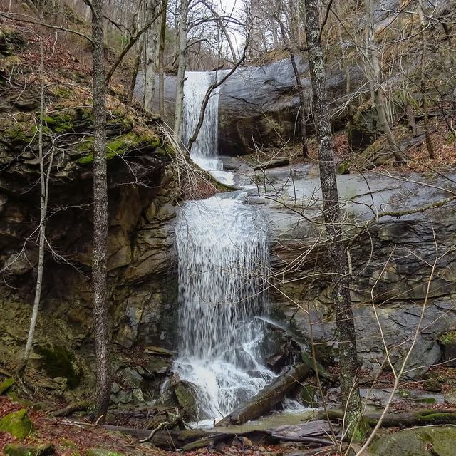 Село Хамышки