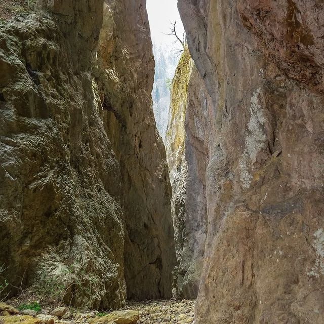 Село Хамышки