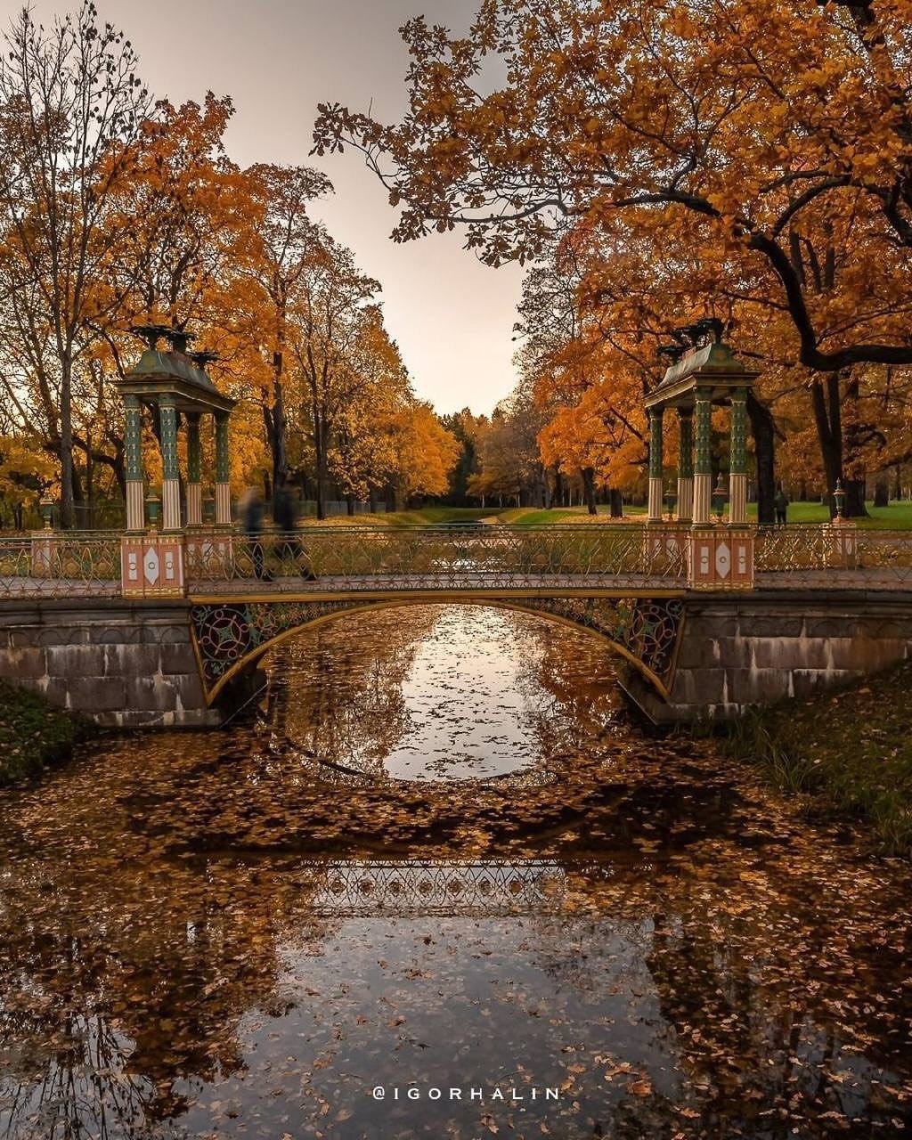 Александровский парк