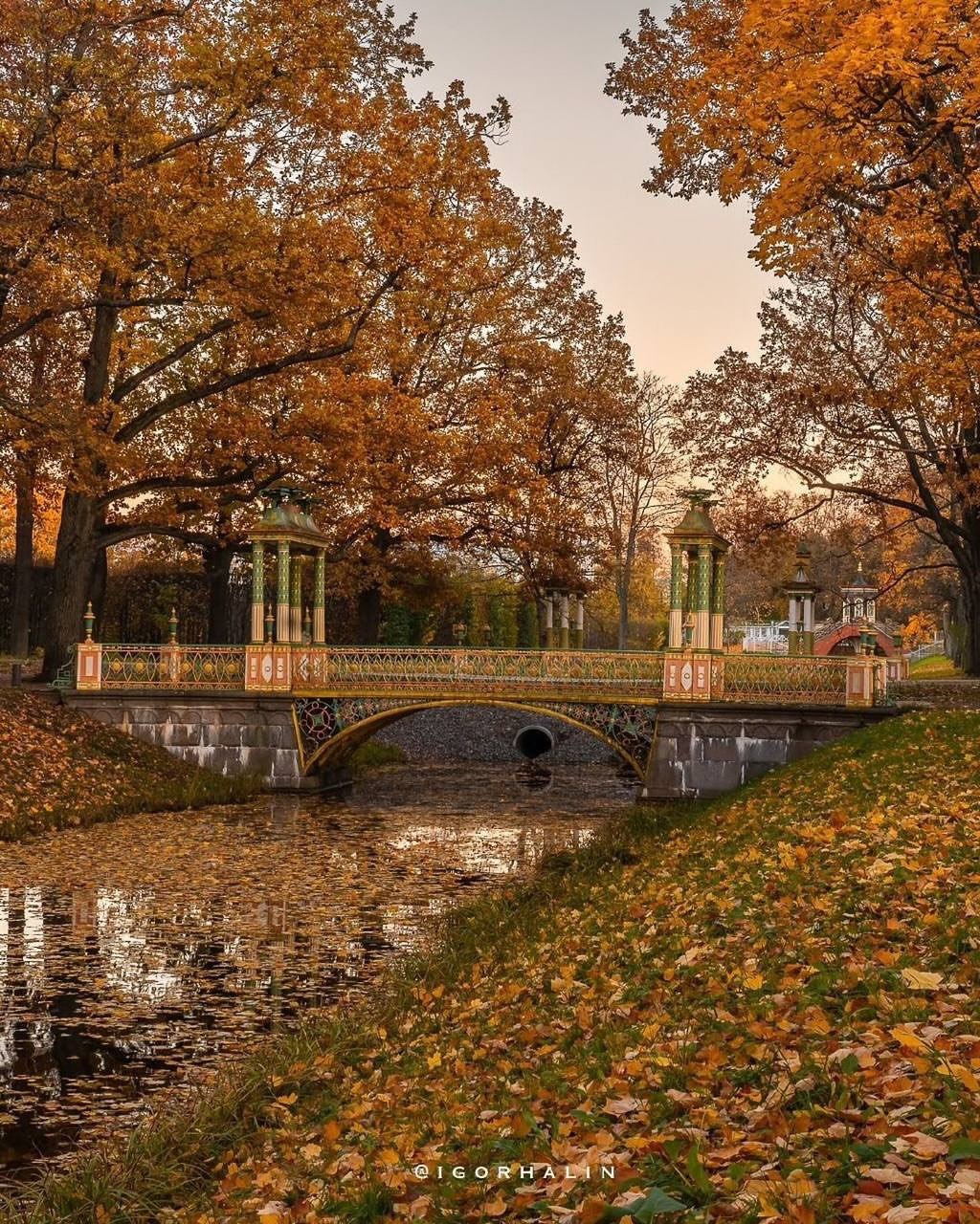 Александровский парк