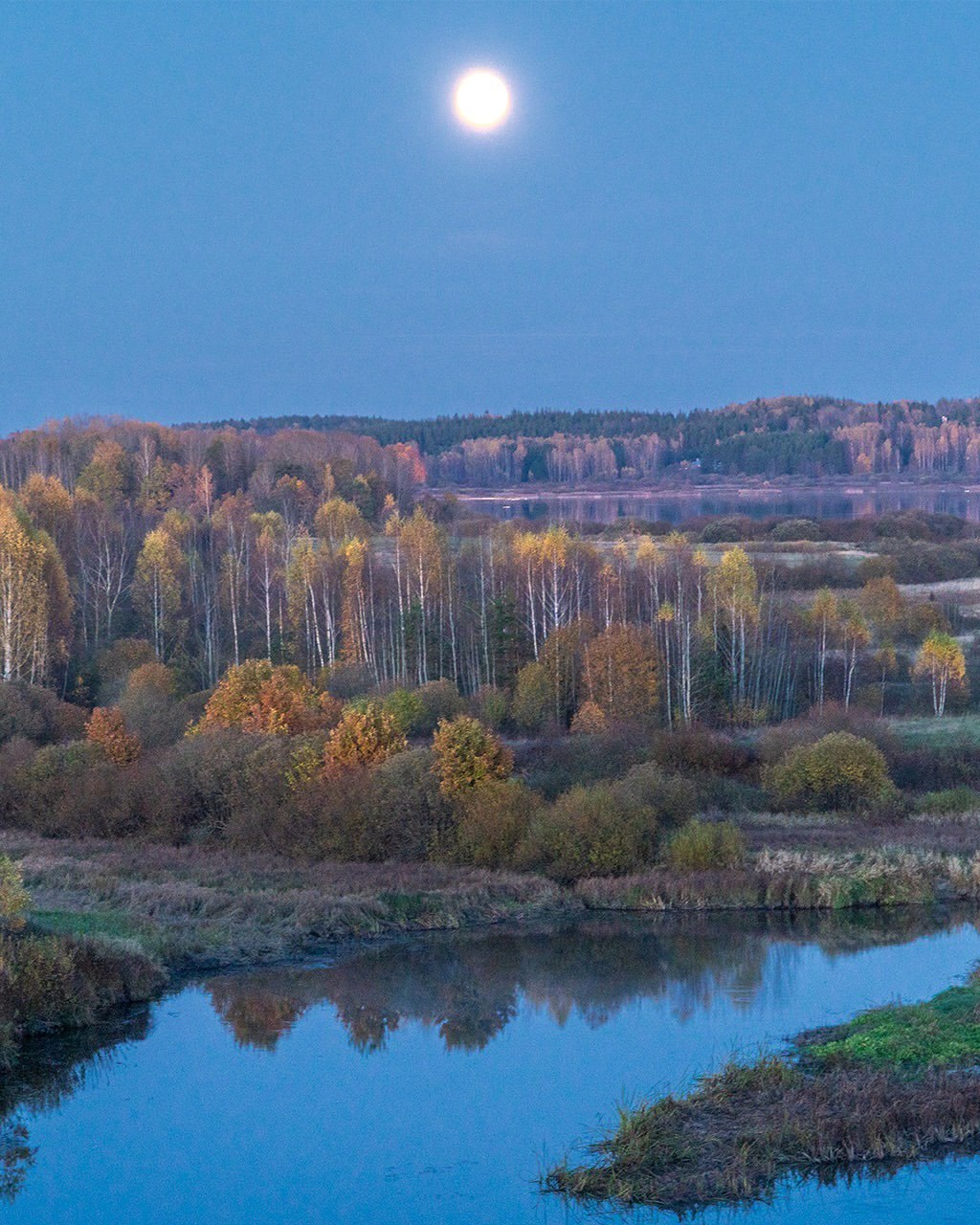 Савкина горка