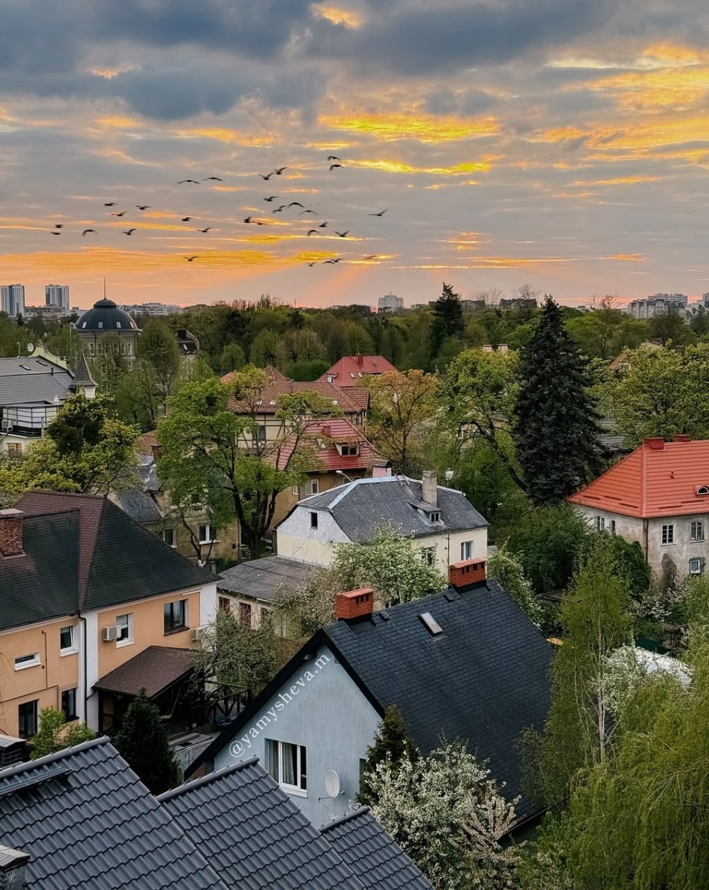 Верхний пруд, Калининград