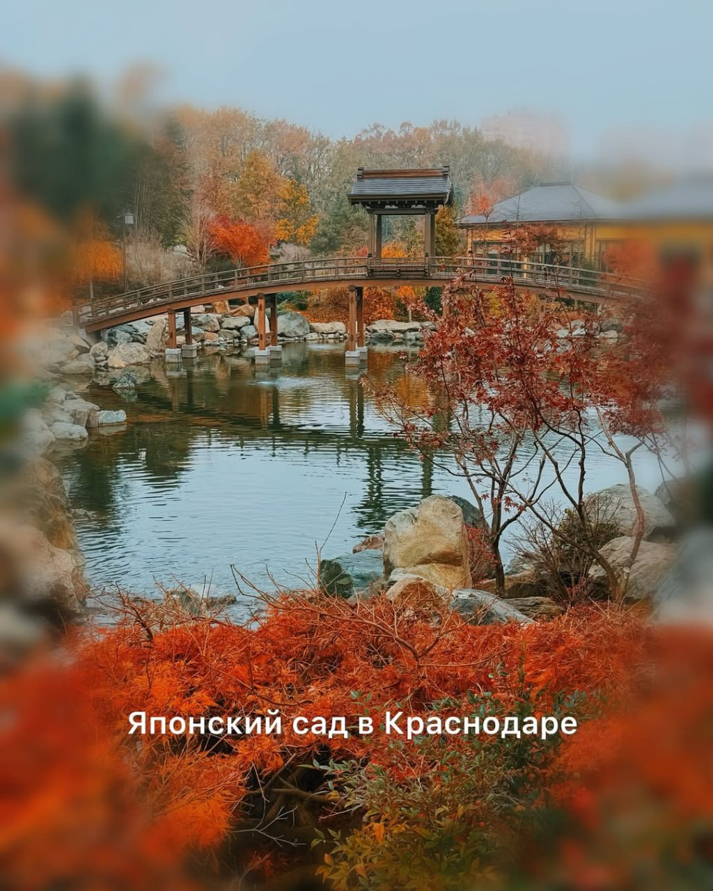 Парк Краснодар
