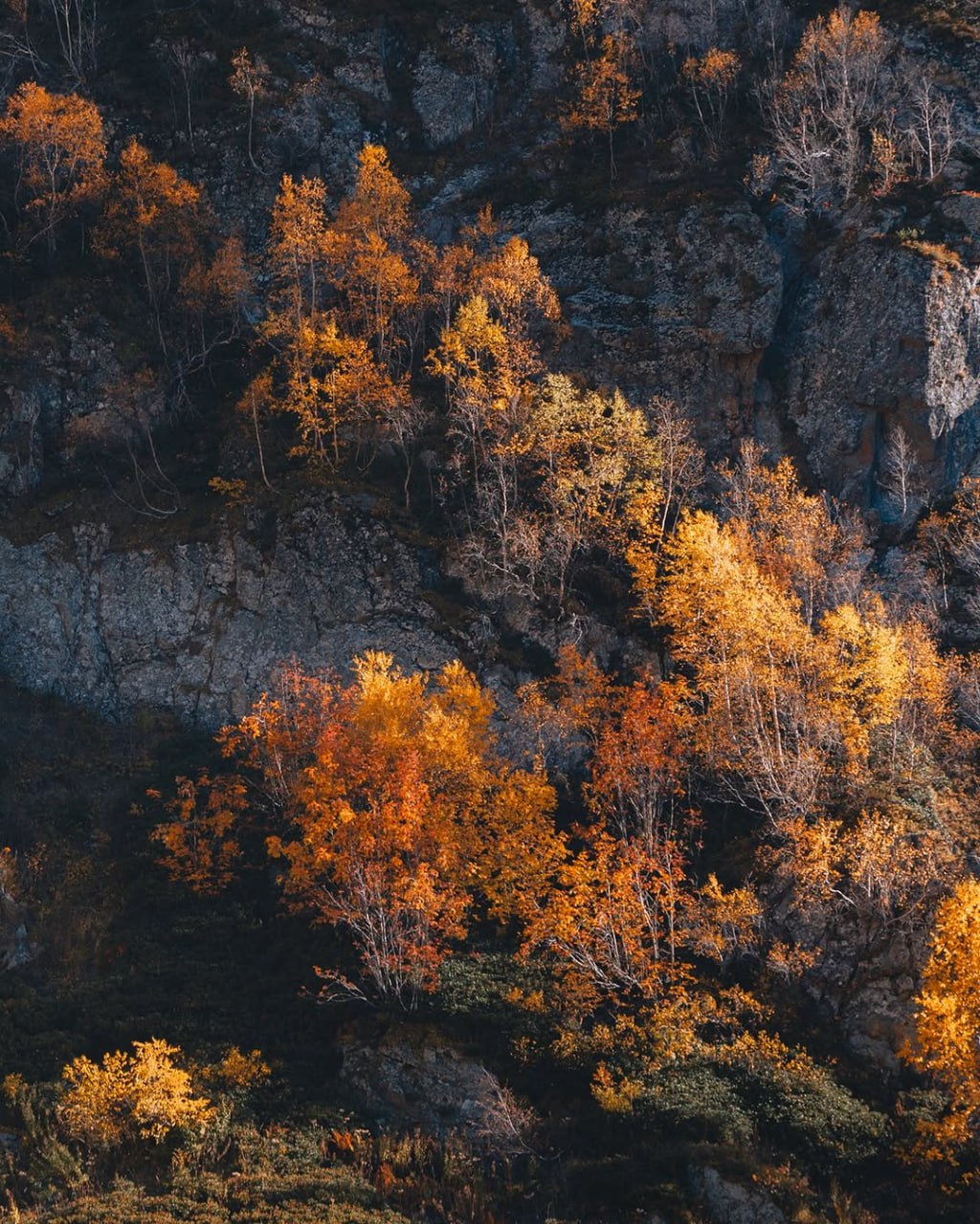 Ущелье Домбай-Ульген