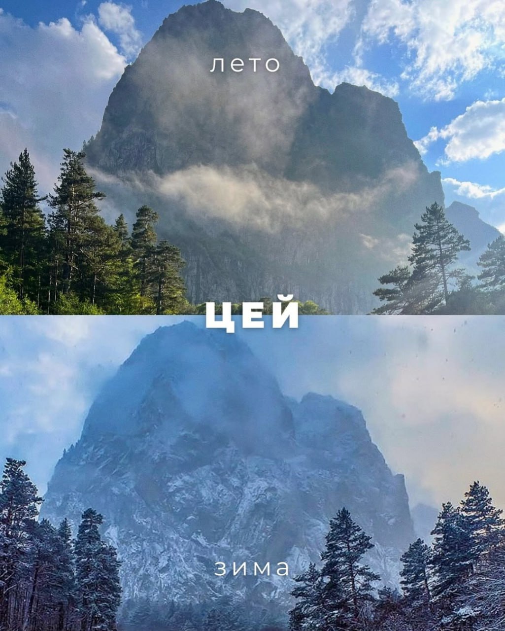 Северная Осетия