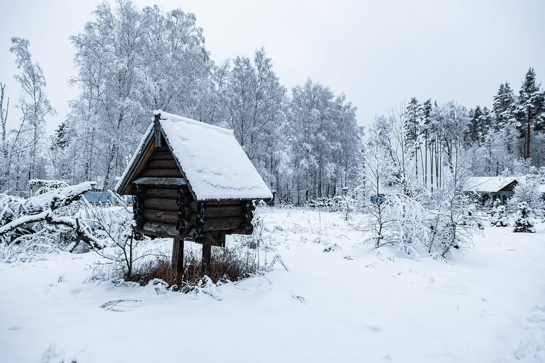 Лагерь Лесная сказка