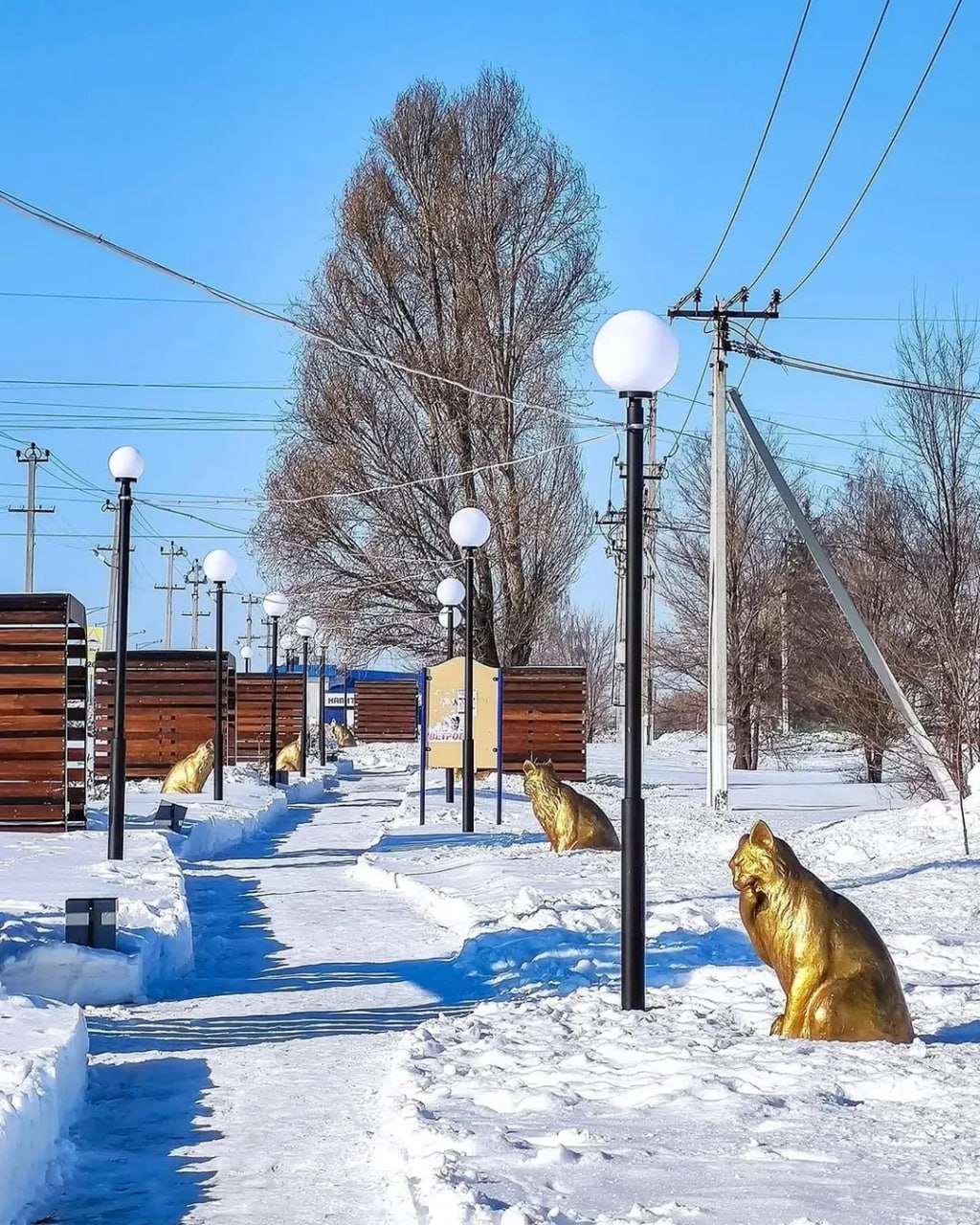 Аллея кошек в селе Кошки