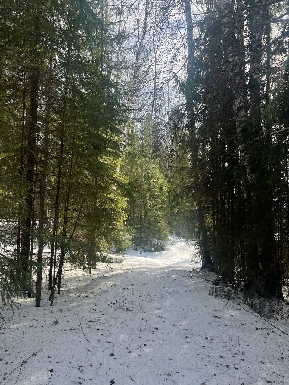 Село Рябово