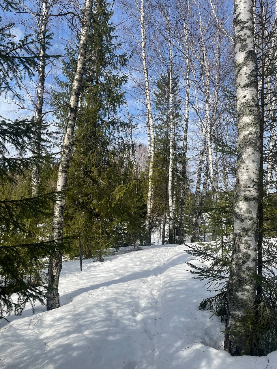Село Рябово