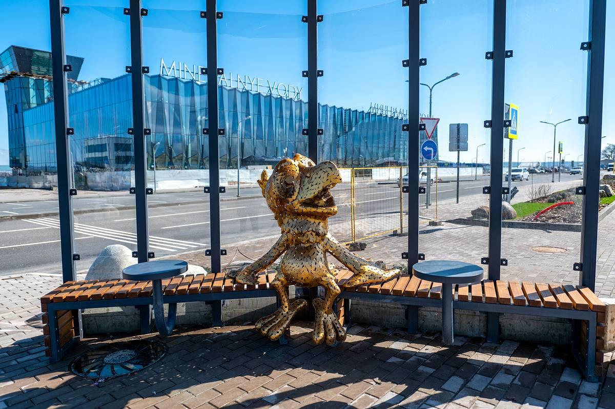 Аэропорт Минеральных Вод