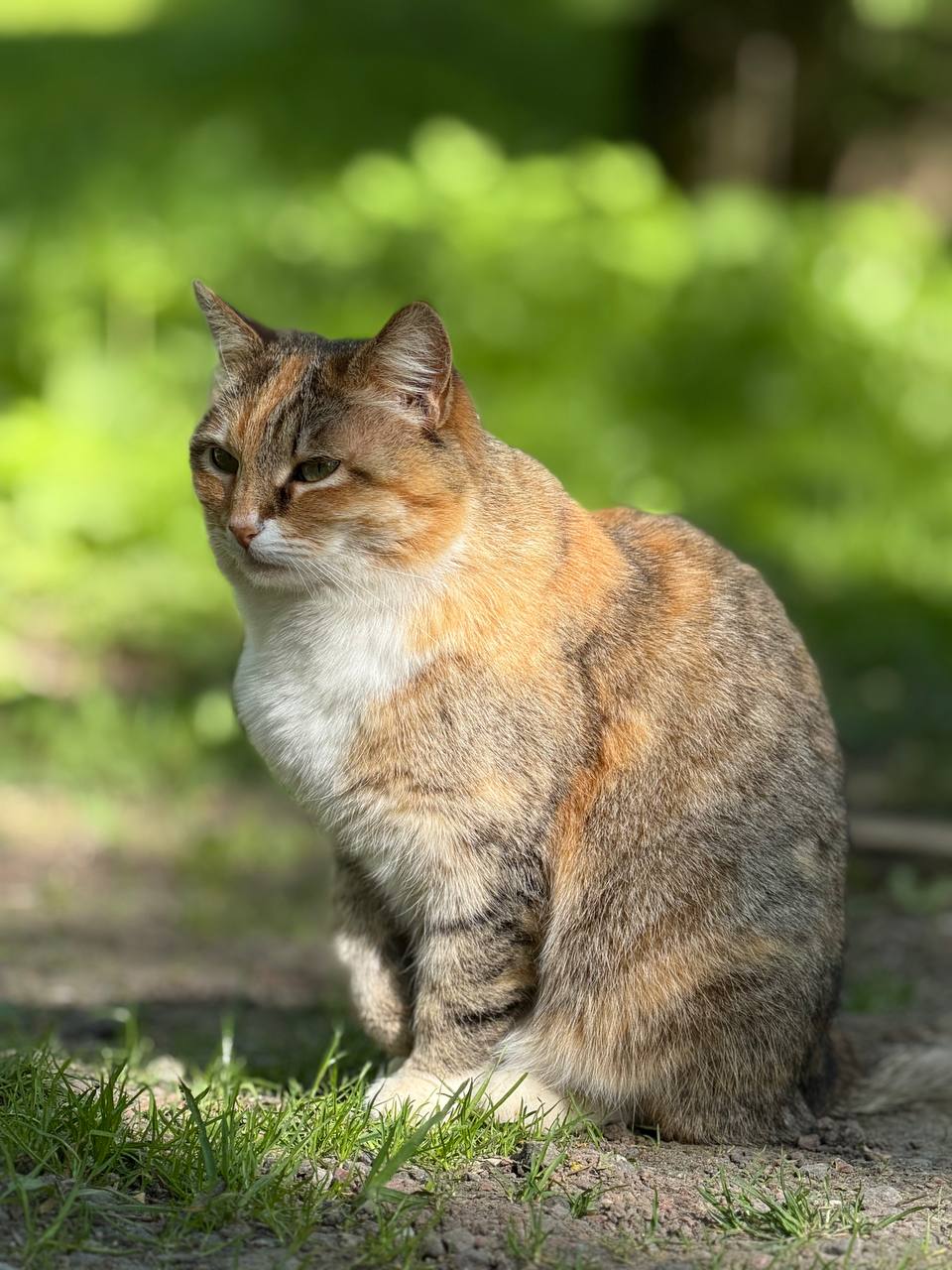 Усадьба Мелихово