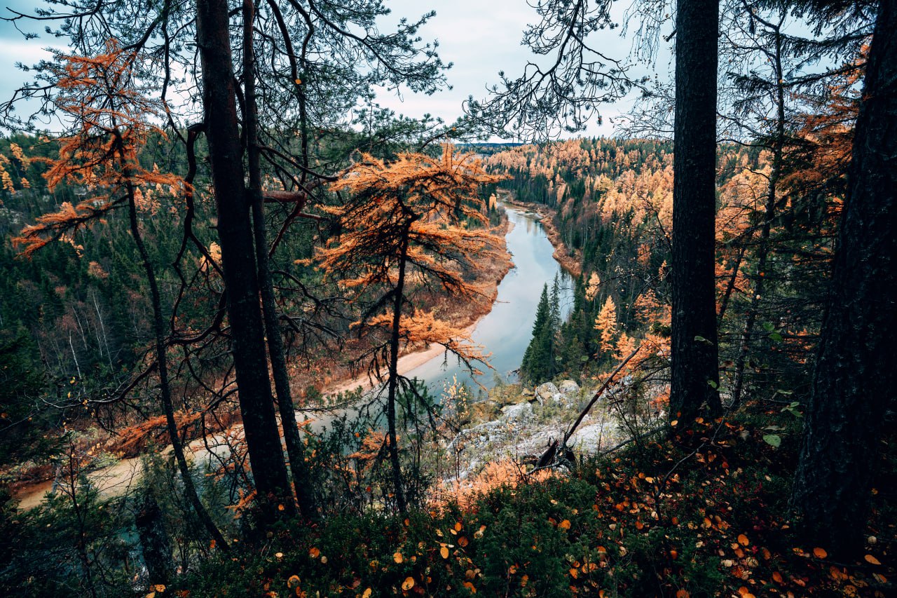Река Сотка