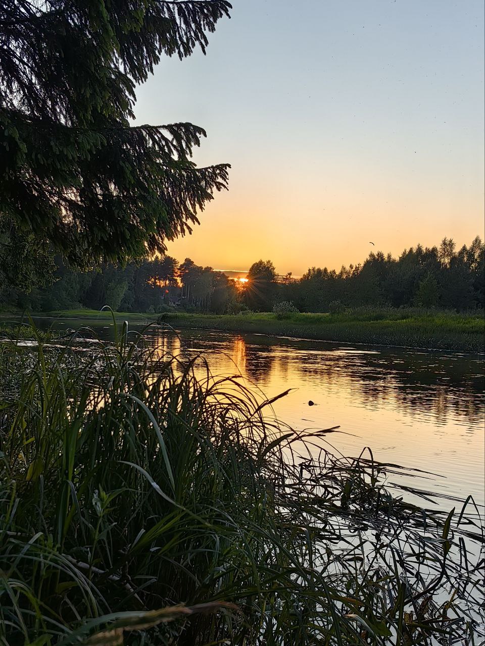 Река Волчина