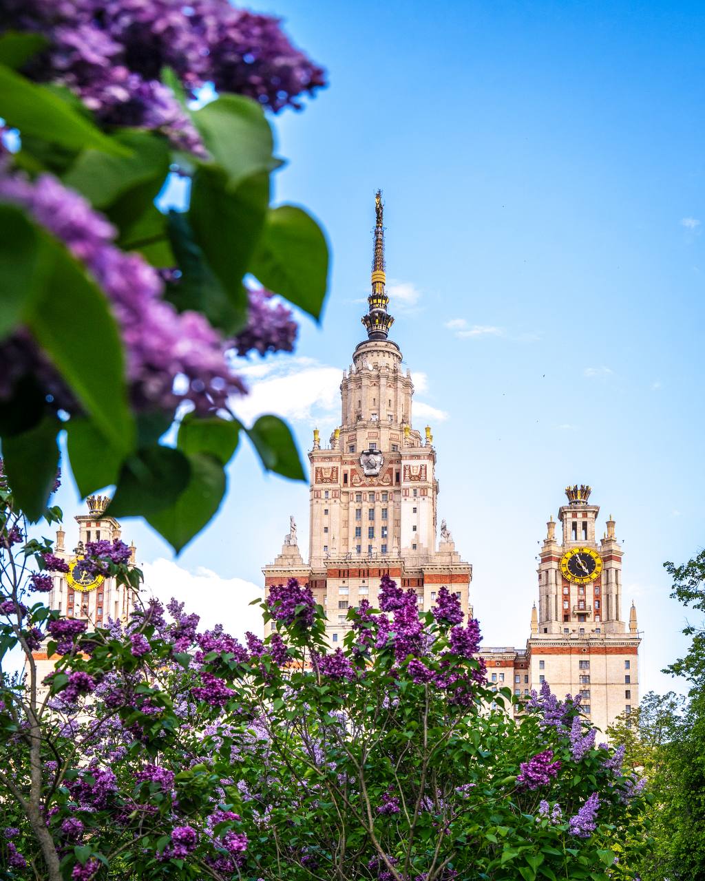 Сирингарий Ботсада МГУ