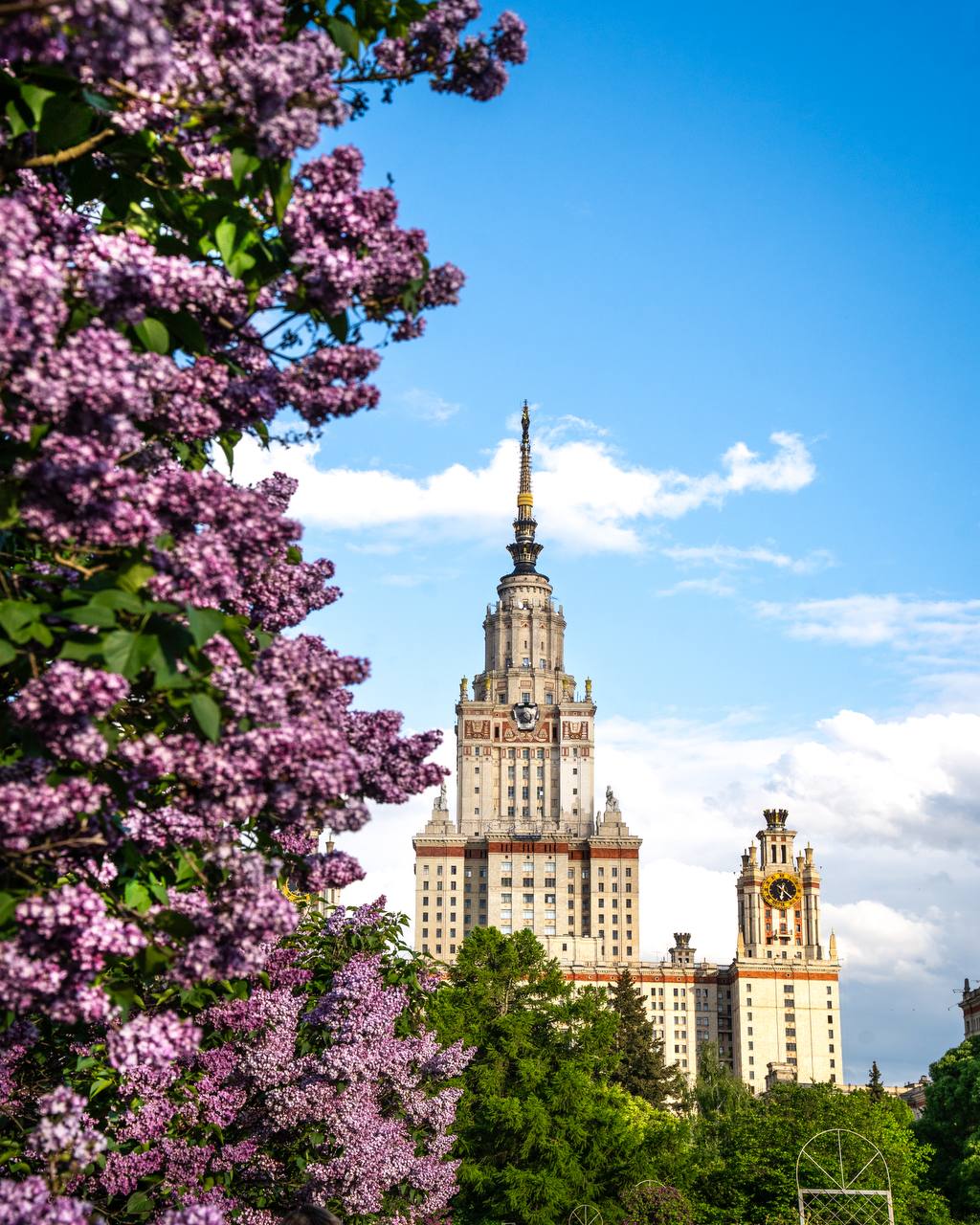Сирингарий Ботсада МГУ