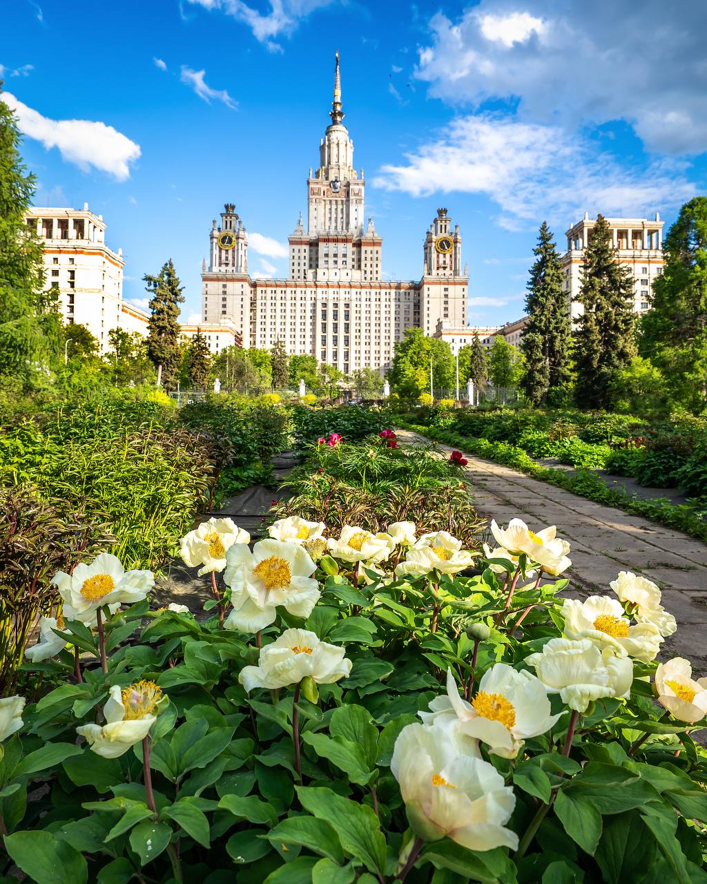 Ботанический сад МГУ