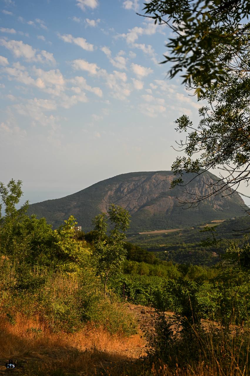 Южный берег Крыма