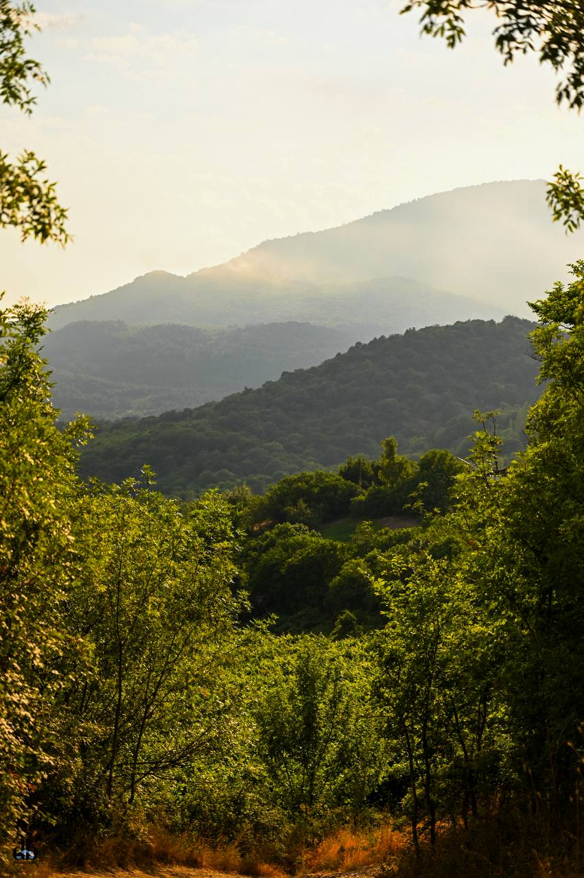 Южный берег Крыма