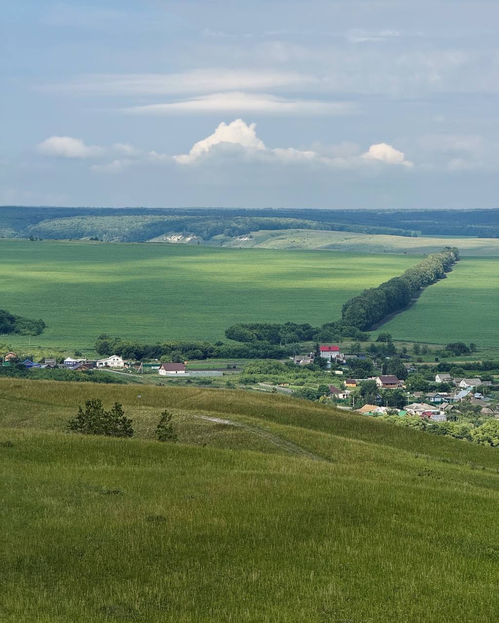 Национальный парк Сенгилеевские горы