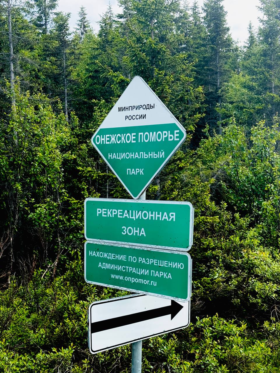 Деревня Летняя Золотица